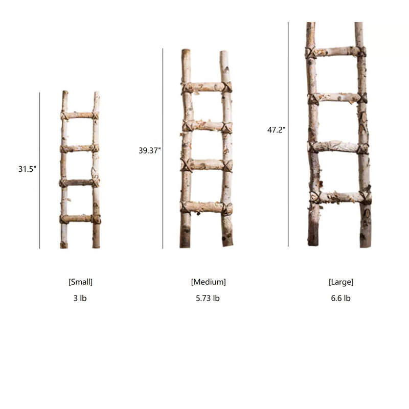 Chakia Decorative Ladder, 47.2" H x 30" W x 3" D