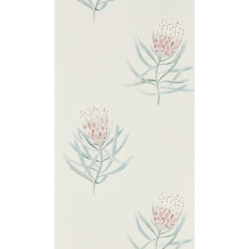 Protea Flower, Neutral/Red/Green
