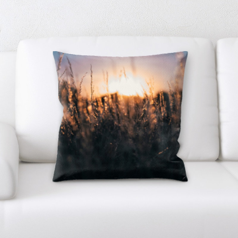 Coussin décoratif