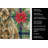 Chestnut Wirehaired Pointing Griffon Christmas PoinsettIas Kitchen Towel-2080584060