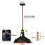 Annesa 1-Light Pendant –Black Inner Gold Industrial Modern Ceiling Light by Borough Wharf-45460084