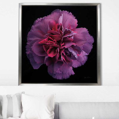 Floral majestueux IV - photographie