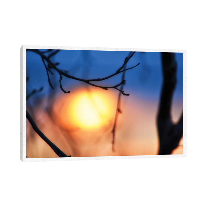 Abstract Sunset by Savanah Plank - Gallery-Wrapped Canvas Giclée on Canvas, 101.6 cm H x 66.04 cm W, White Framed
