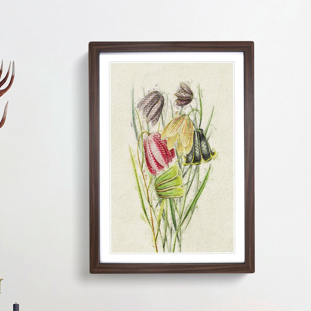 Illustration of Fritillaria Lily Flowers - Picture Frame Painting Print