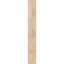 Sapin Douglas-109290099-112789701