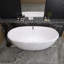59'' x 29.5'' Freestanding Soaking Acrylic Bathtub
