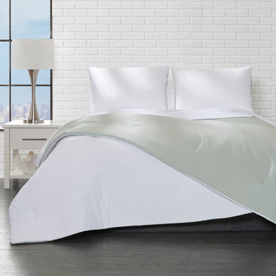 Polyester Dots Comforter