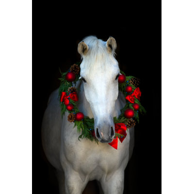 «White Horse in Chistmass» par Callipso - photographie sur toile tendue