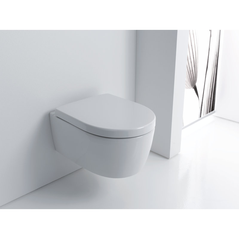 Wall Hung Toilet with soft close seat