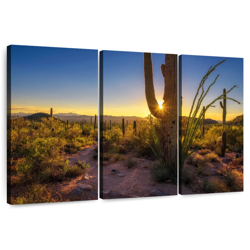 Coucher de soleil sur le parc national Harnek Saguaro, H 42 po x l 65 po