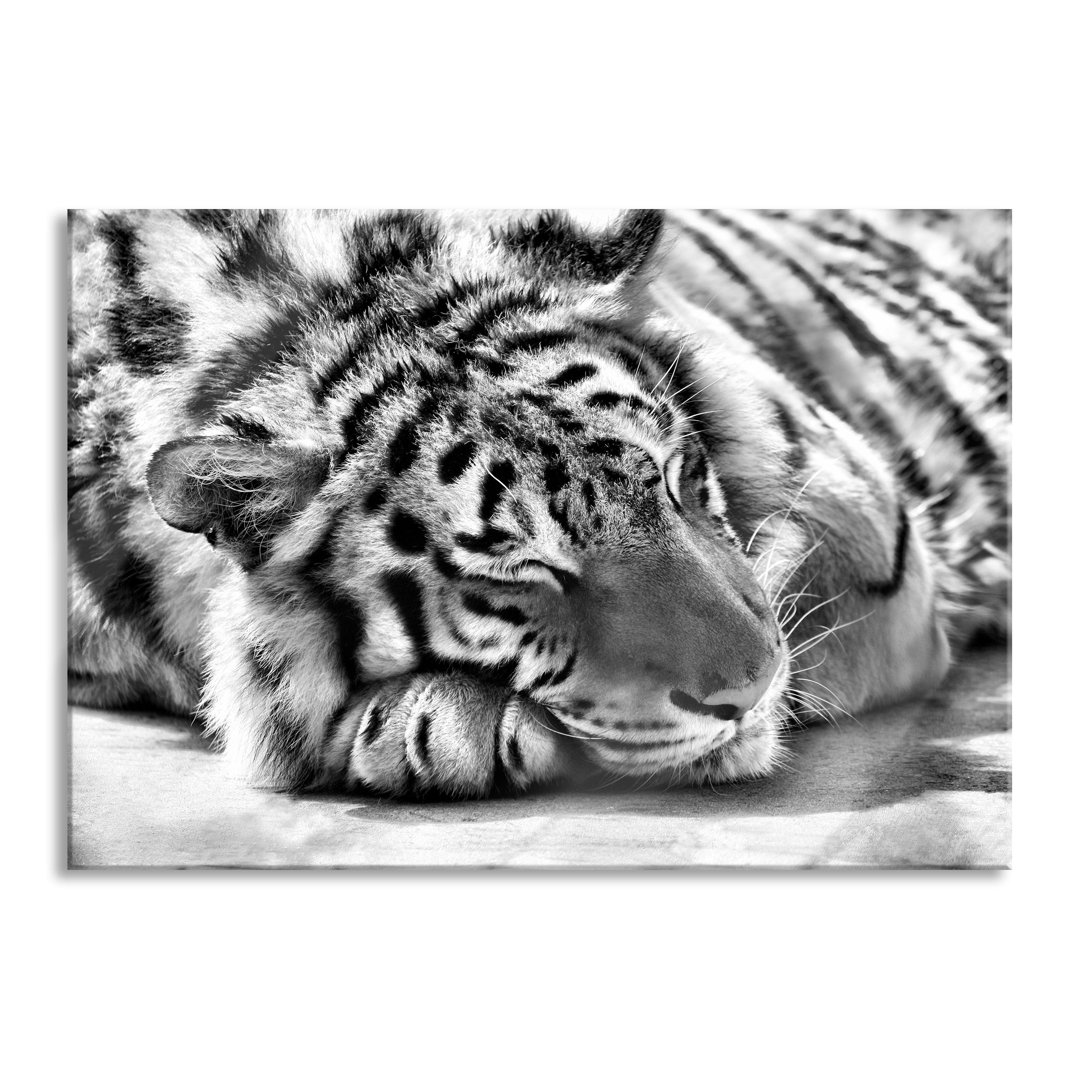 Glasbild Verschlafener Tiger