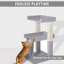 Arbre à chat à 2 niveaux Tott and Eling; Chat pour chat avec perchoir; Tours de chat robustes pour grands chats d'intérieur-1145372197