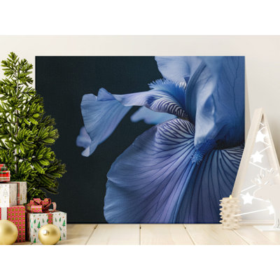Schwarz Wrapped Canvas Print Set