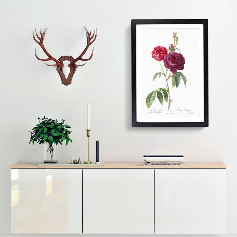 French Purple Roses by Pierre-Joseph Redoute - Framed Print, 65cm H x 48cm W x 2cm D, Black Framed