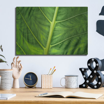 " Leaf Details " by Dennis Frates