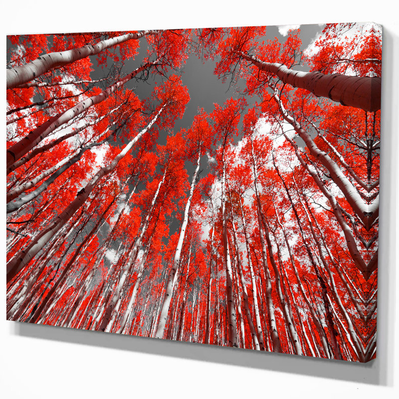 Rustic, 12" H x 20" W x 1" D