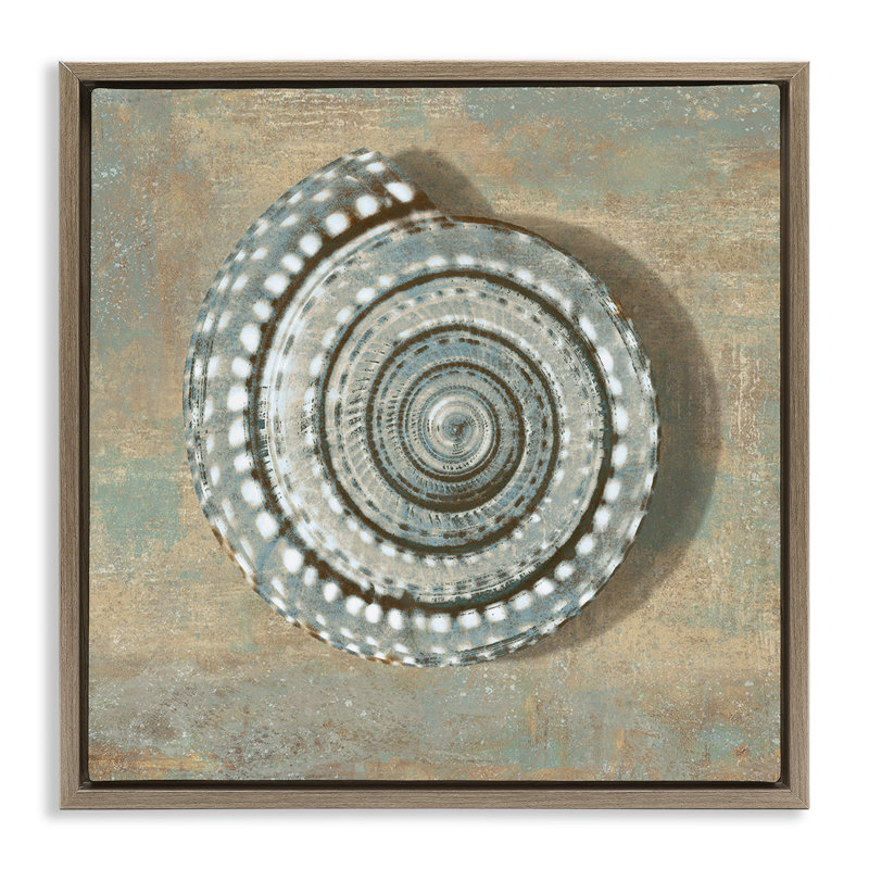 «Spiral Shell Beach Beach» par Christy McKee, H 25 po x l 25 po, Cadre flottant orme Montalcino