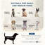 Canapé pour animal de compagnie Pawhut, canapé pour chien, lit surélevé pour petits et moyens chiens, avec rangement caché, coussin doux capitonné, gris-1100952308