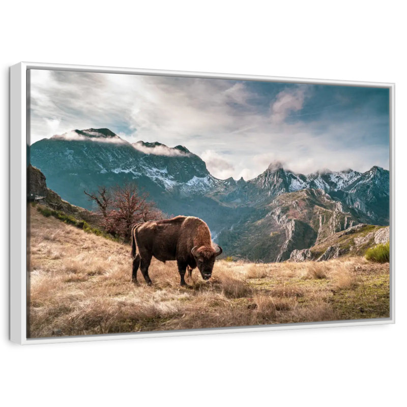Paysage de montagne de bisons, Cadre flottant blanc, 37 po x 25 po