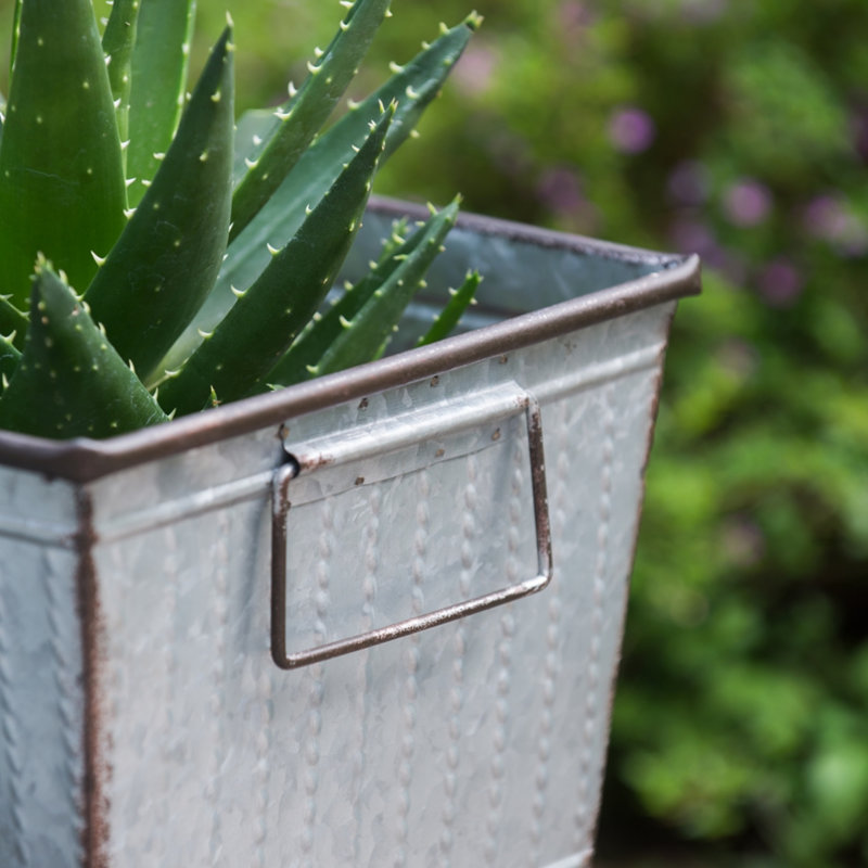 Ensemble de 2 jardinières en métal rustique Zale avec supports