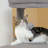 Enzlee 61'' H Cat Tree-680333068
