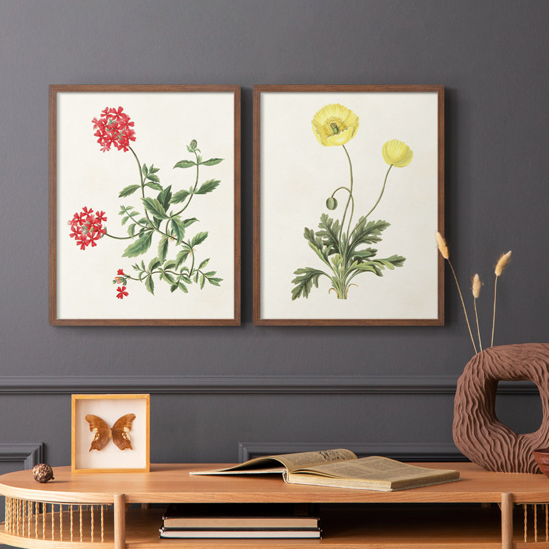 Flowers of the Seasons XI-Premium Framed Print -Ready to Hang - No Nails Required - No Nails Required, Walnut, 21" H x 34" W