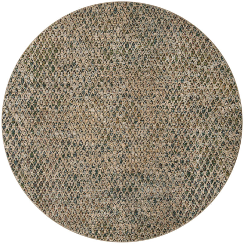  Stella Rug, Round 8'