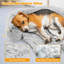 Arrigo Pet Bed-1919498316-1919498317
