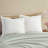 Laura Ashley Mila European Sham-225573558