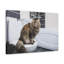 Mignon chat assis sur une toilette, impression sur toile-1370060886
