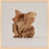 Maple