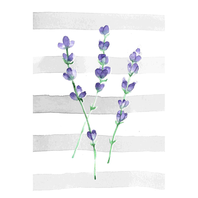 Peinture sur toile Lavendar, H 18 po x l 12 po