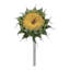 Tige de tournesol-45217528