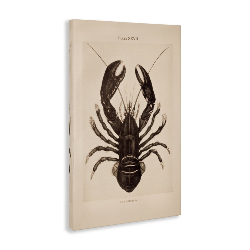Art mural rétro sur toile de homard, design par Deborah Revell, H 45 po x l 30 po
