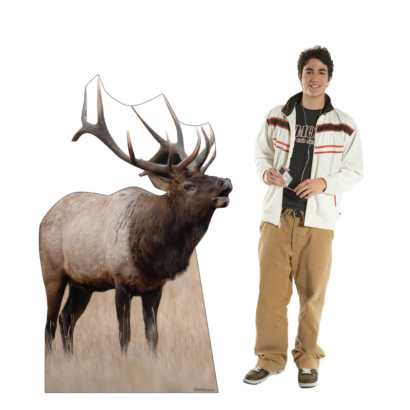 Elk