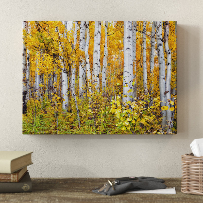 « yellow colors iv », photographie sur toile tendue, H 14 po x l 19 po x P 2 po