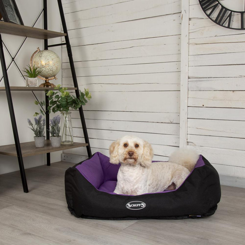Expedition Polyester Pet Bed, 19cm H x 75cm W x 60cm D, Plum