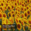 Rideau de douche à 12 crochets Sunflower-1830887174