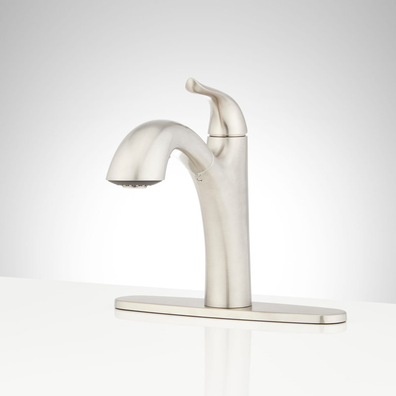 Cypress Single-Hole Dual-Function Pull-Out Kitchen Faucet - Stainless Steel, Stainless Steel