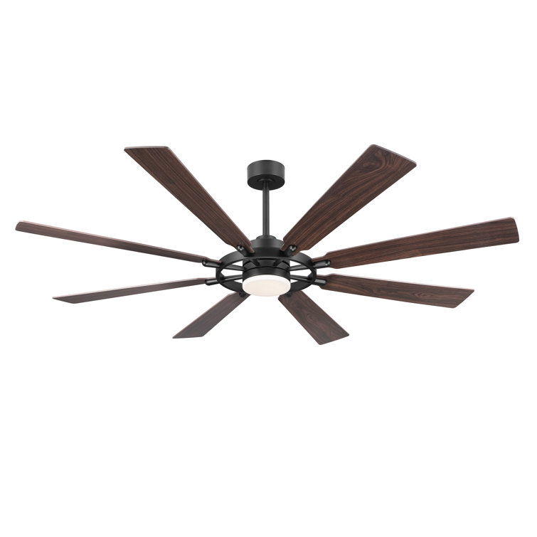 Antoinesha Ceiling Fan with LED Lights