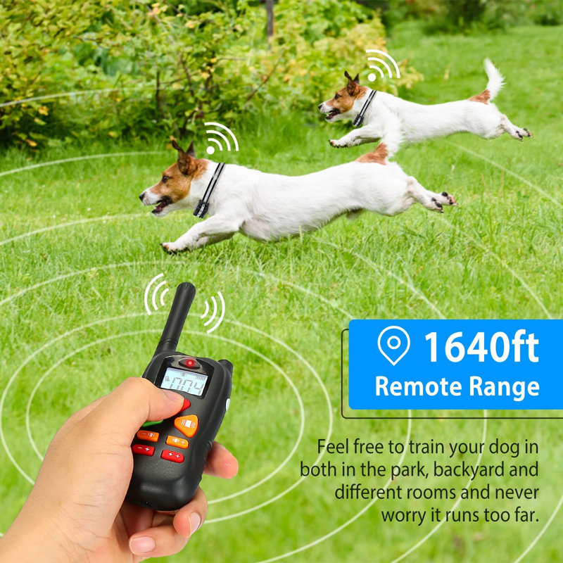 Rechargeable Dog Shock Collar