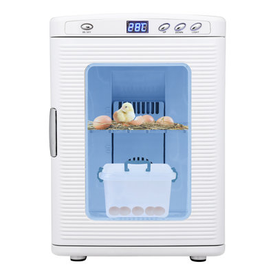 Digital 25L Laboratory & Reptile Egg Incubator, Precise Temperature Control 10–60°C, Dual AC/DC Power, Scientific Glass Terrarium for Eggs & Small Reptiles, White