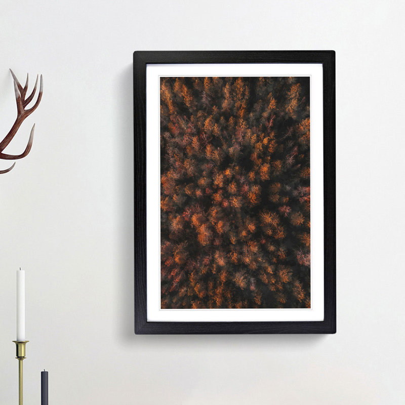 Autumn Forest in Bloom - Picture Frame Painting Print, 45cm H x 33cm W x 2cm D, Black Framed