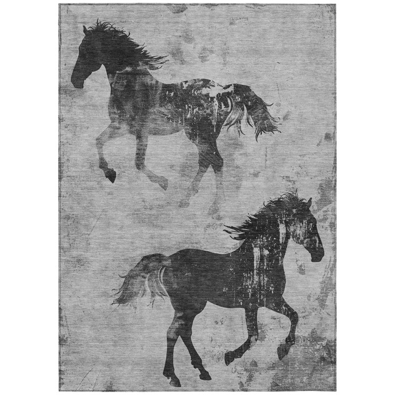 Tapis gris intérieur / extérieur lavable à la machine Cinead ACN1717, Rectangulaire 3 pi x 5 pi