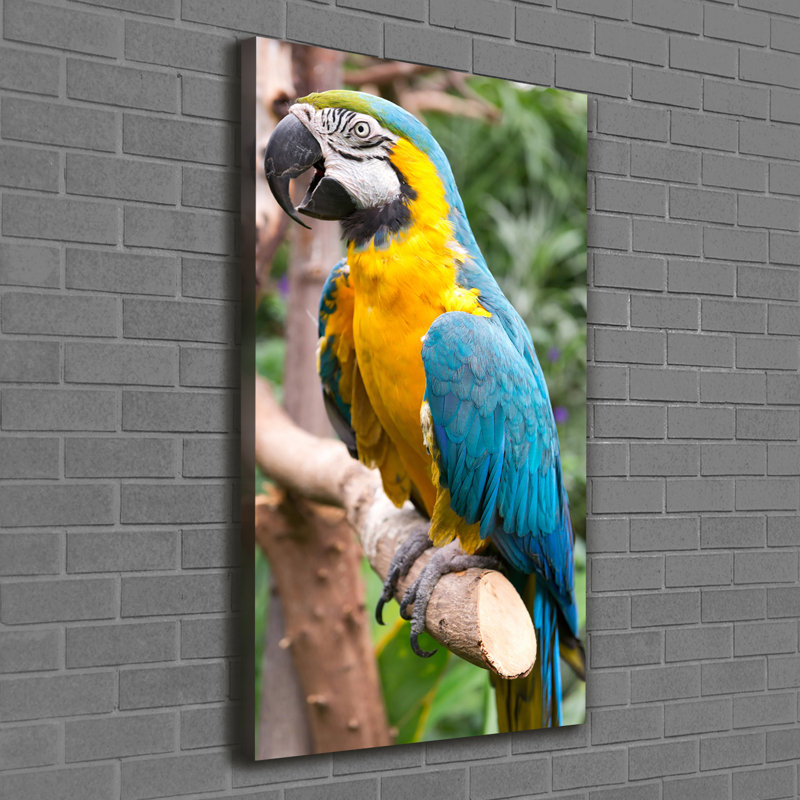 Ara Parrot - Wrapped Canvas Print