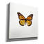 «Papillon jaune 1» par PhotoINC Studio-344091655