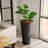 Pot Planter-638407530