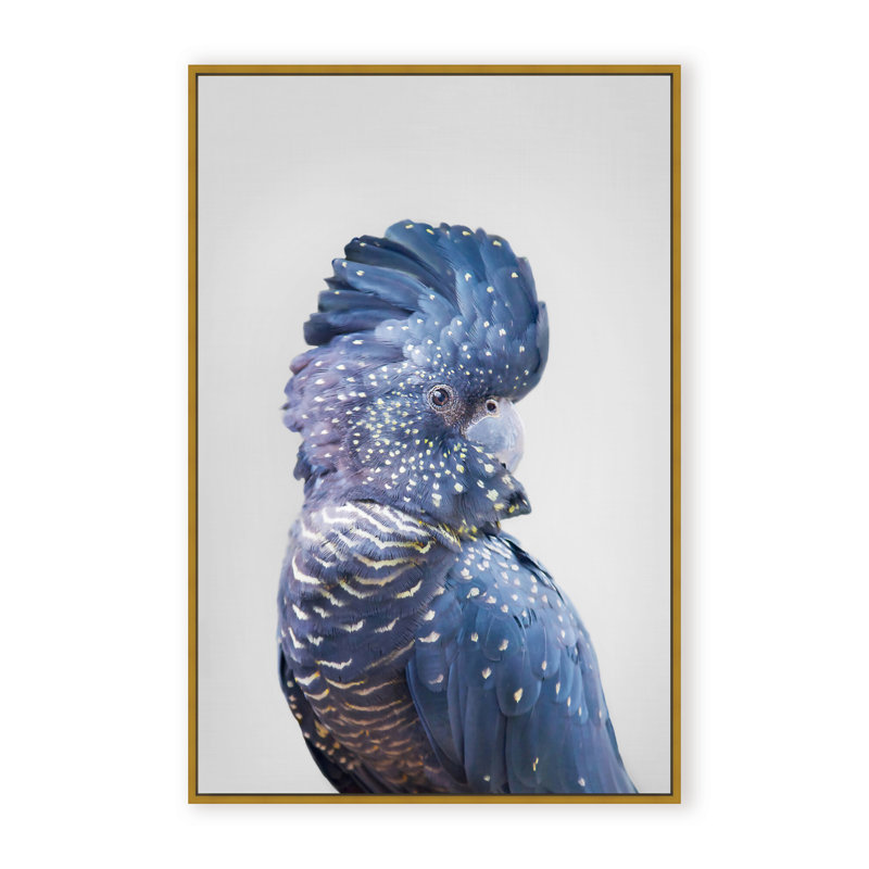 Nature Inspired Black Cockatoo by  - Picture Frame Photograph on Paper, 36" H x 24" W x 1.125" D, Framed Matted Print, Black
