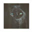 Blue Panther Majesty II - animal de panthère sur bois-1975705313