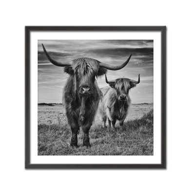 Highlands par Stephane Pecqueux - reproduction de cadre photo sur bois